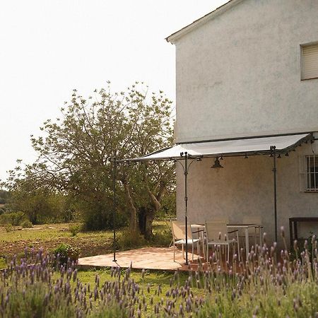 Masia Bartomeu Rural House Between Vineyards 2Km From The Beach El Vendrell Esterno foto