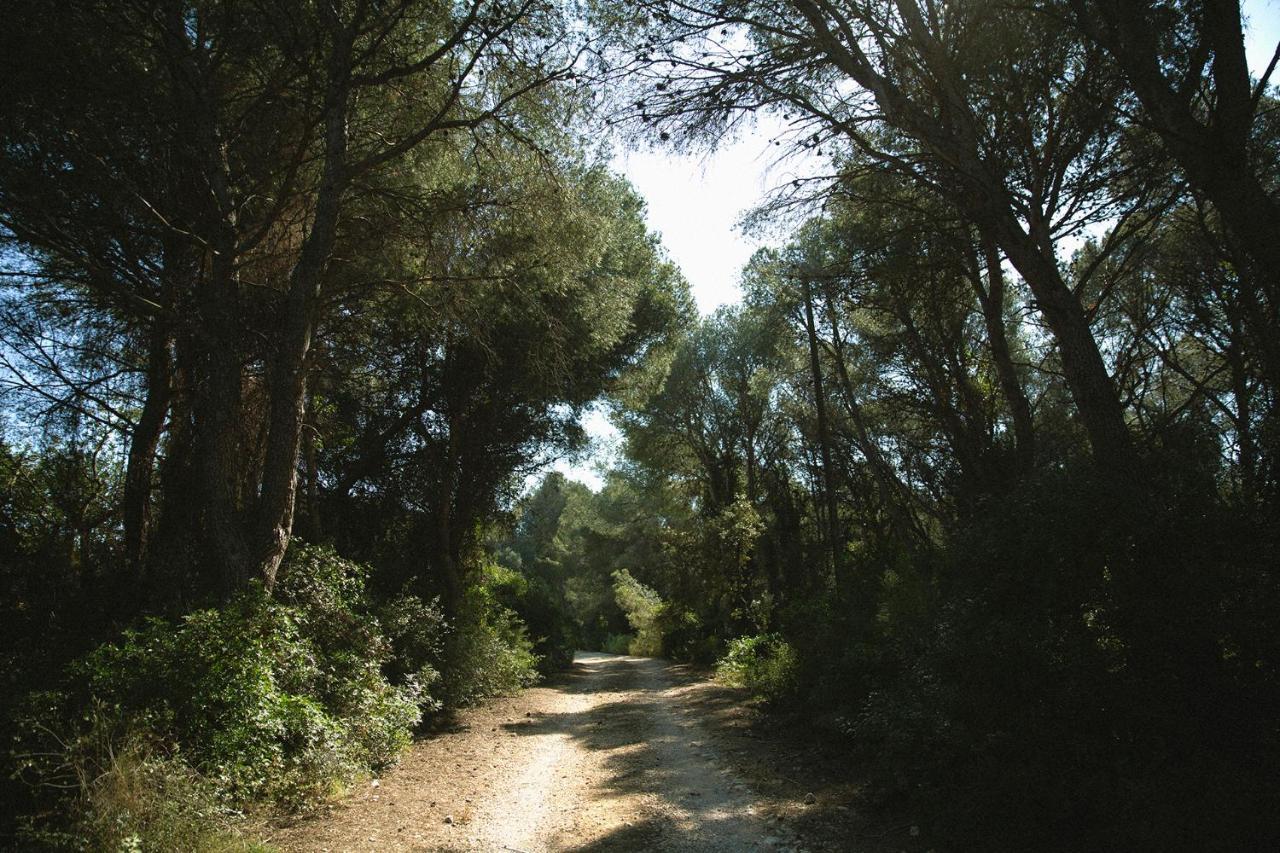 Masia Bartomeu Rural House Between Vineyards 2Km From The Beach El Vendrell Esterno foto