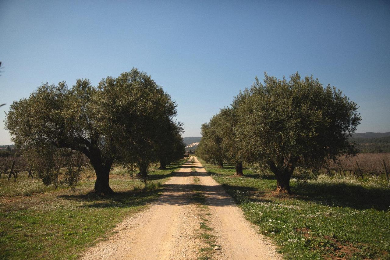 Masia Bartomeu Rural House Between Vineyards 2Km From The Beach El Vendrell Esterno foto