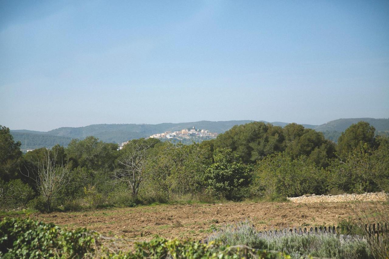 Masia Bartomeu Rural House Between Vineyards 2Km From The Beach El Vendrell Esterno foto