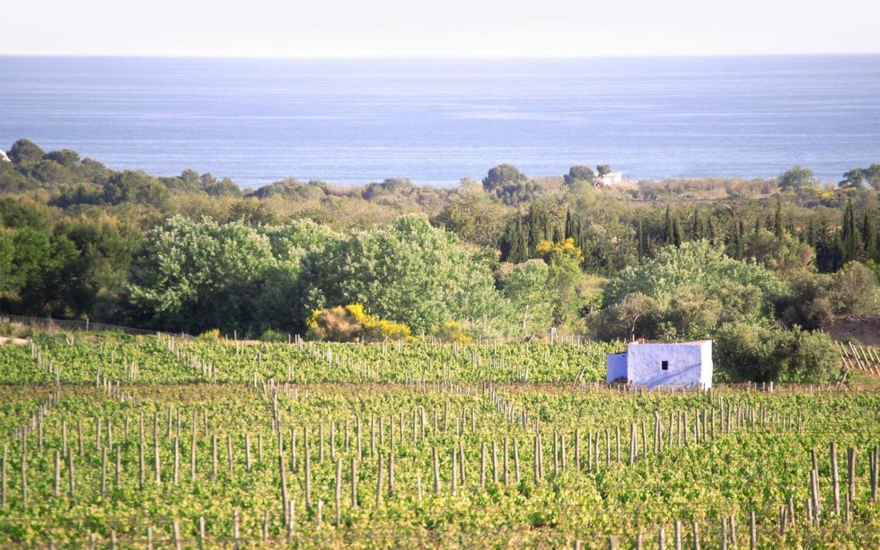 Masia Bartomeu Rural House Between Vineyards 2Km From The Beach El Vendrell Esterno foto